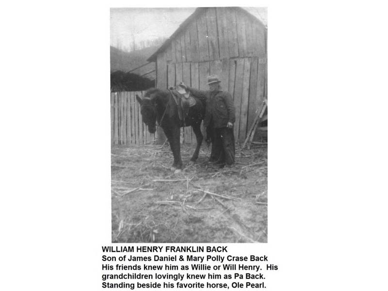 Rocky Mountain Horse History for sale, Wisconsin